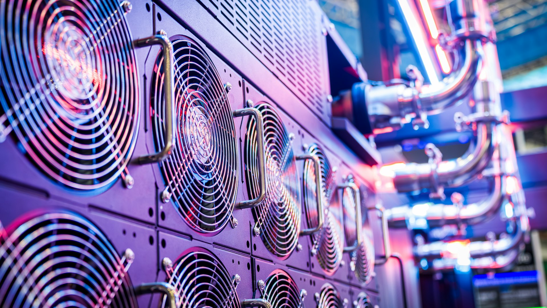 Website Hosting for Small Business